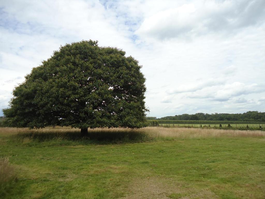 B&B Rose Court Beek (Limburg) Bagian luar foto